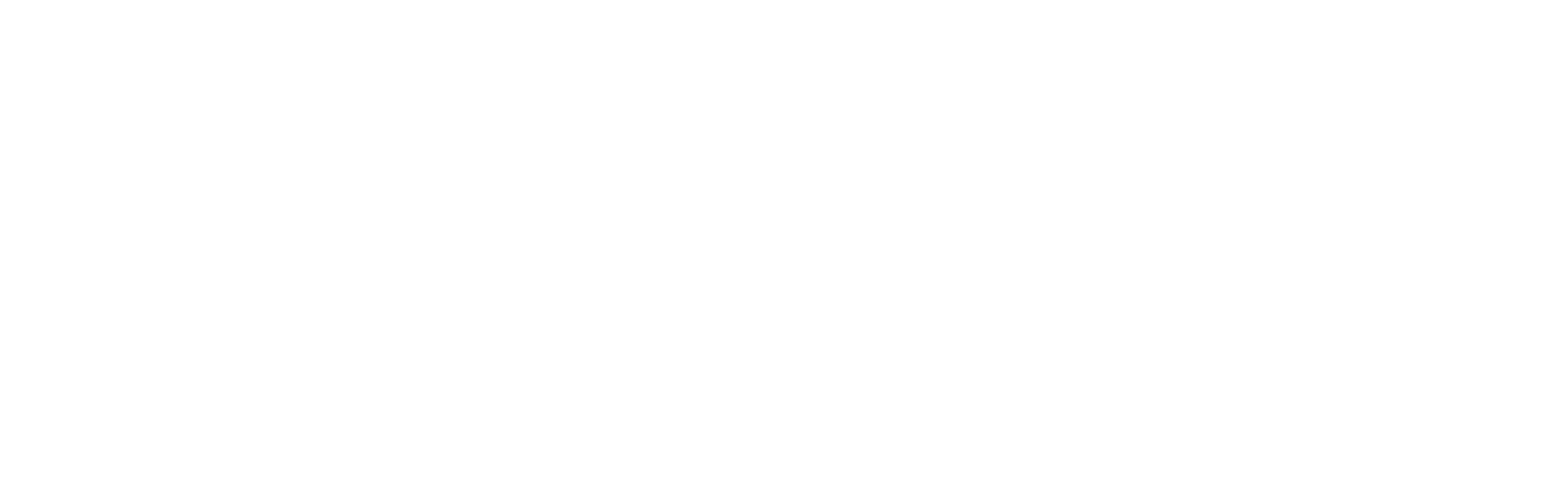 FMCL_logo_Prancheta 1 cópia